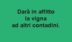 4 ottobre - XXVII domenica del T.O - A