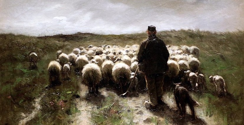 gregge con pastore